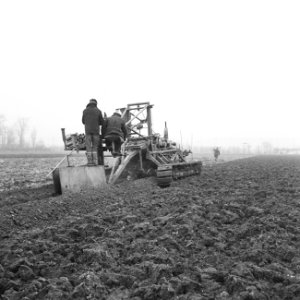 Drainage, arbeiders, machines, bos en kalis nv, IJpolder, Bestanddeelnr 160-0423