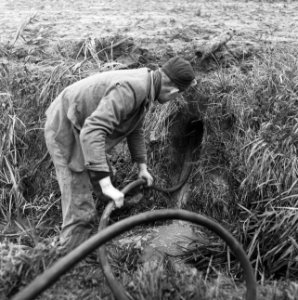 Drainage, buizen, reinigingen, slangen, arbeiders, Bestanddeelnr 160-0390