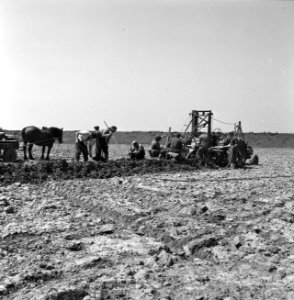 Drainage, arbeiders, machines, ende van den, Bestanddeelnr 160-0364