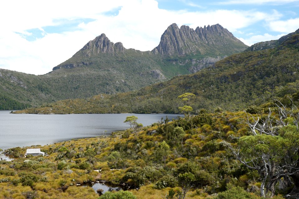 Dove Lake Circuit Walking Track, Cradle Mountain - Lake St Clair National Park 91