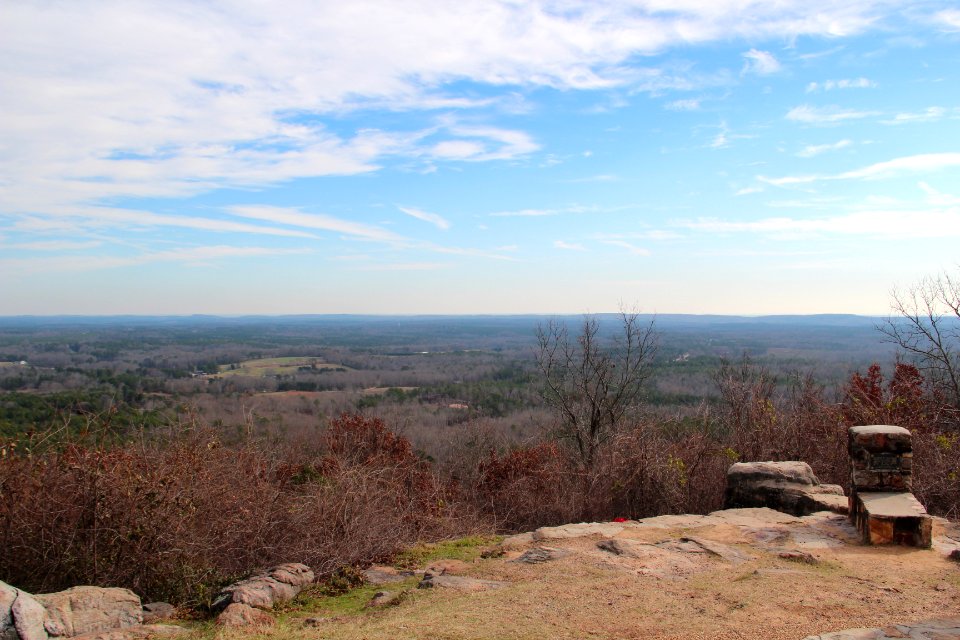 Dowdell knob