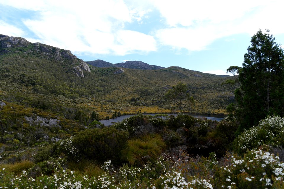 Dove Lake Circuit Walking Track, Cradle Mountain - Lake St Clair National Park 87