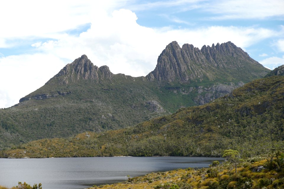 Dove Lake Circuit Walking Track, Cradle Mountain - Lake St Clair National Park 92