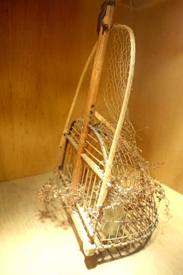 Dove trap, Muong, view 2 - Vietnam Museum of Ethnology - Hanoi, Vietnam - DSC02680