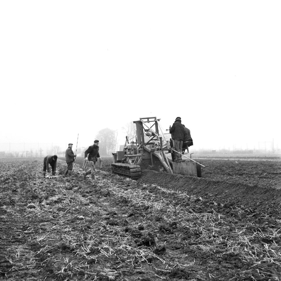 Drainage, arbeiders, bos en kalis nv, IJpolder, Bestanddeelnr 160-0418