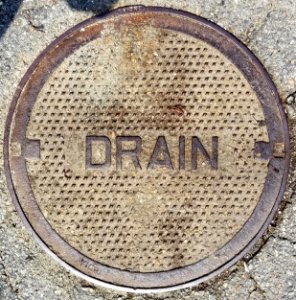 Drain India - Arlington, MA - 20200503 104524