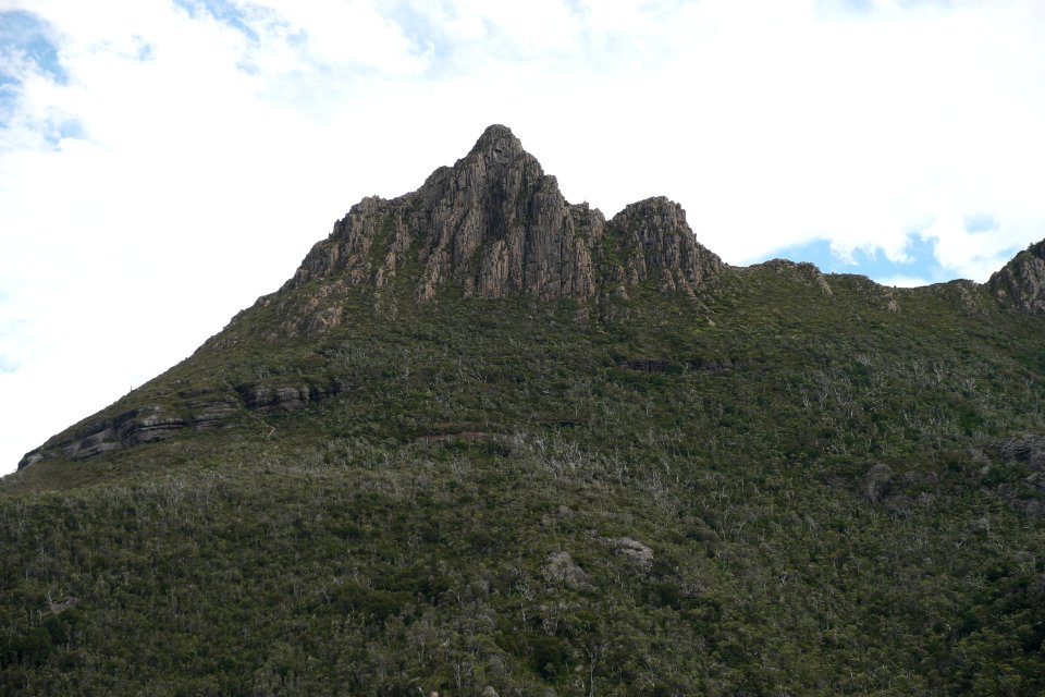 Dove Lake Circuit Walking Track, Cradle Mountain - Lake St Clair National Park 73