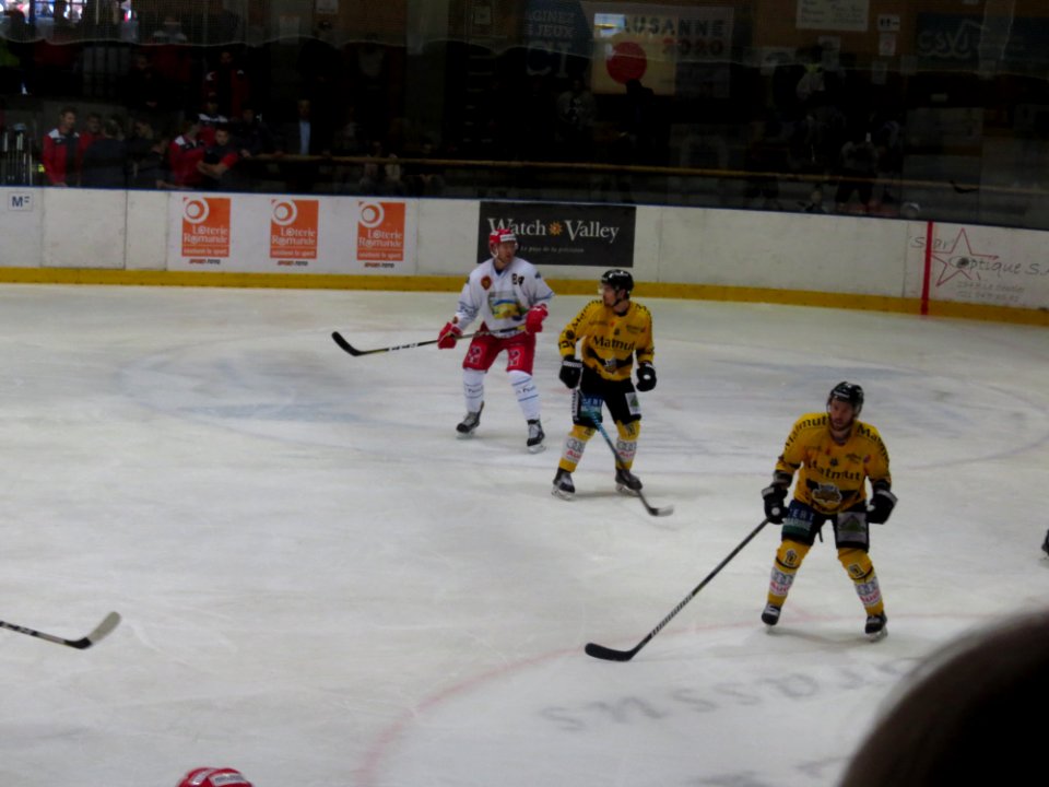 Dragons de Rouen - Tigers de Langnau, 8 août 2017 - 55