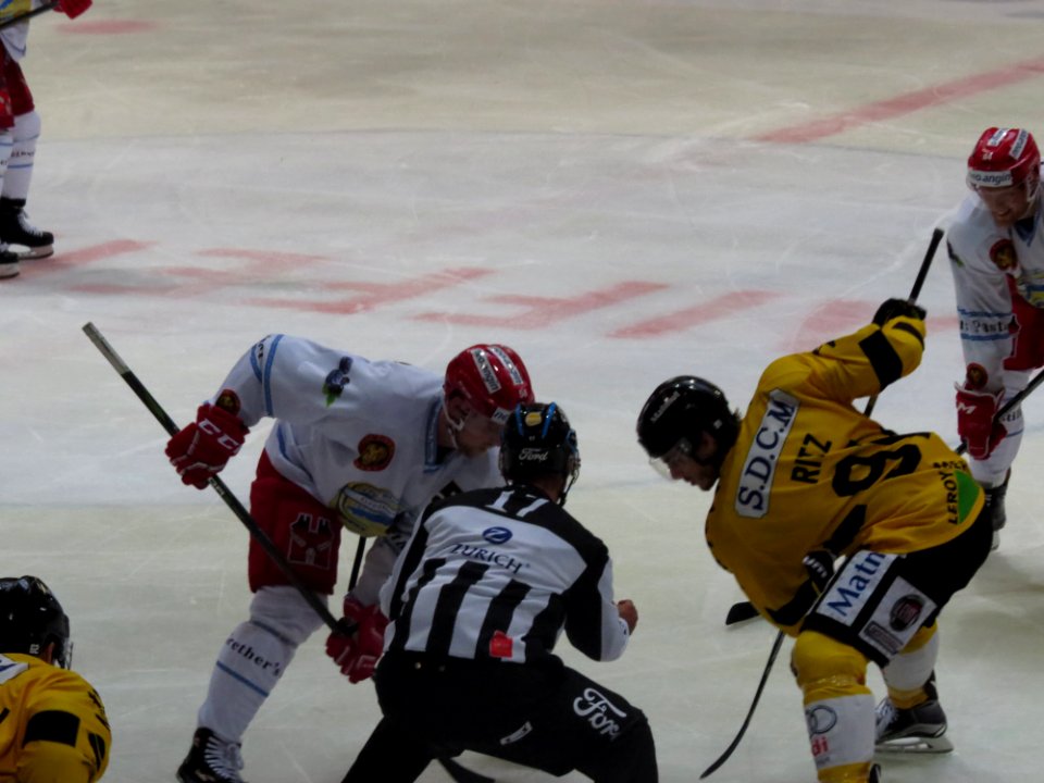 Dragons de Rouen - Tigers de Langnau, 8 août 2017 - 63
