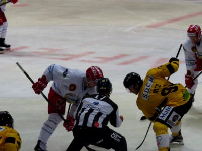 Dragons de Rouen - Tigers de Langnau, 8 août 2017 - 63