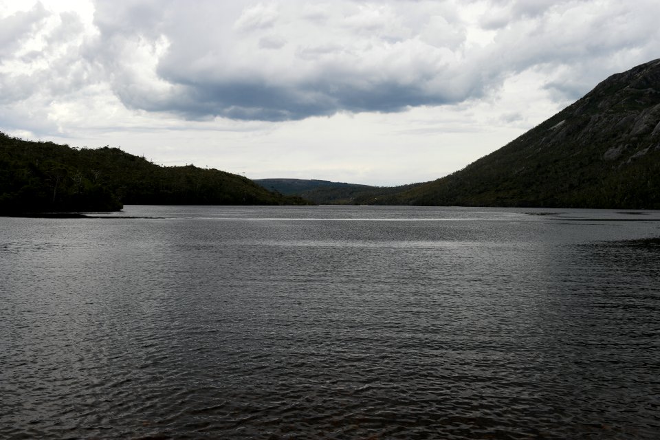 Dove Lake Circuit Walking Track, Cradle Mountain - Lake St Clair National Park 32