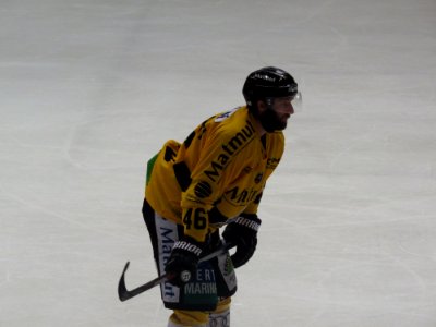 Dragons de Rouen - Tigers de Langnau, 8 août 2017 - 32