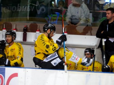 Dragons de Rouen - Tigers de Langnau, 8 août 2017 - 17