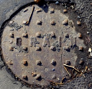 Drain - Arlington, MA - DSC04546