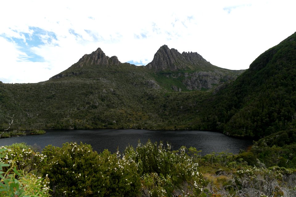 Dove Lake Circuit Walking Track, Cradle Mountain - Lake St Clair National Park 71