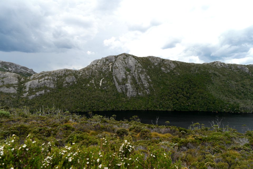 Dove Lake Circuit Walking Track, Cradle Mountain - Lake St Clair National Park 81