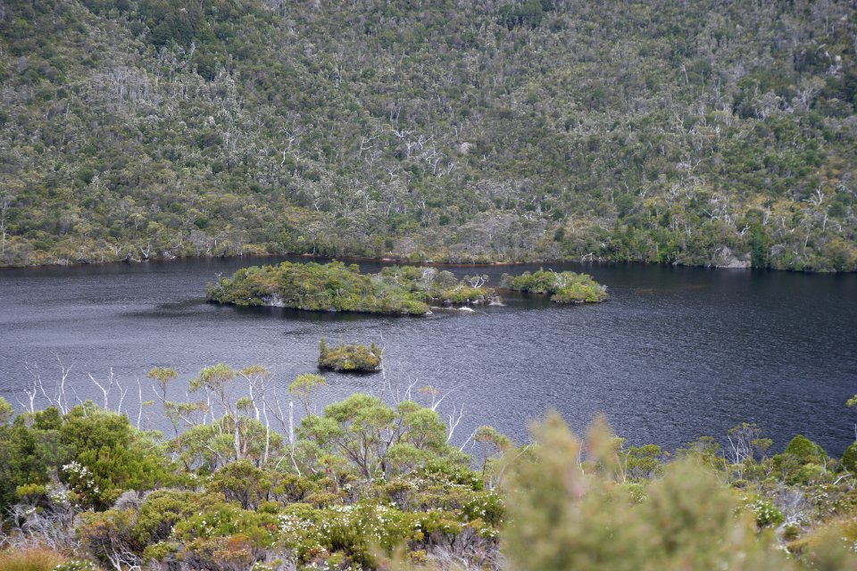 Dove Lake Circuit Walking Track, Cradle Mountain - Lake St Clair National Park 83