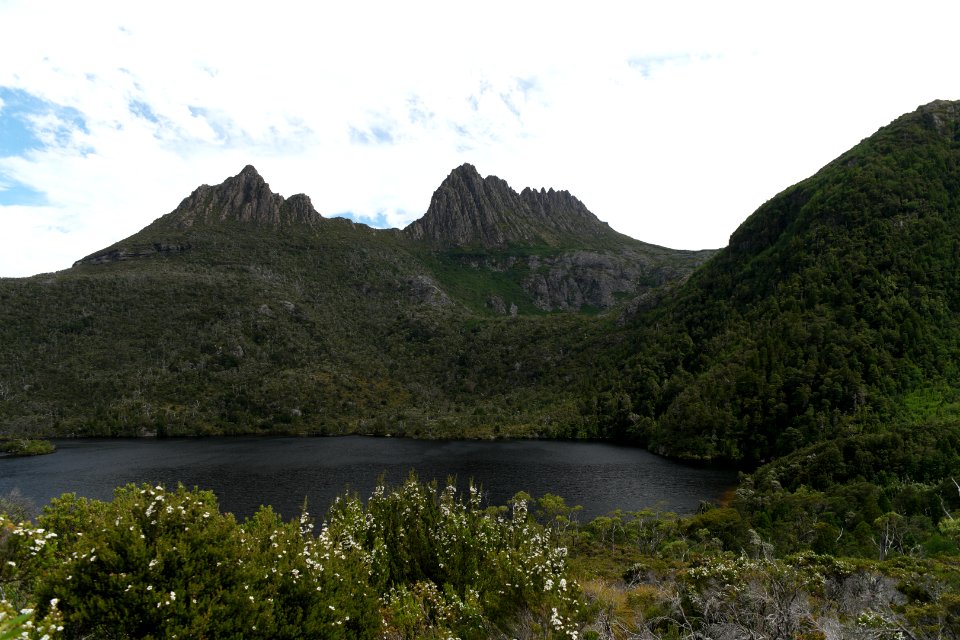 Dove Lake Circuit Walking Track, Cradle Mountain - Lake St Clair National Park 74