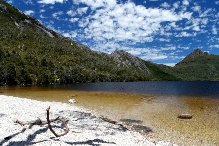 Dove Lake Circuit Walking Track, Cradle Mountain - Lake St Clair National Park 17