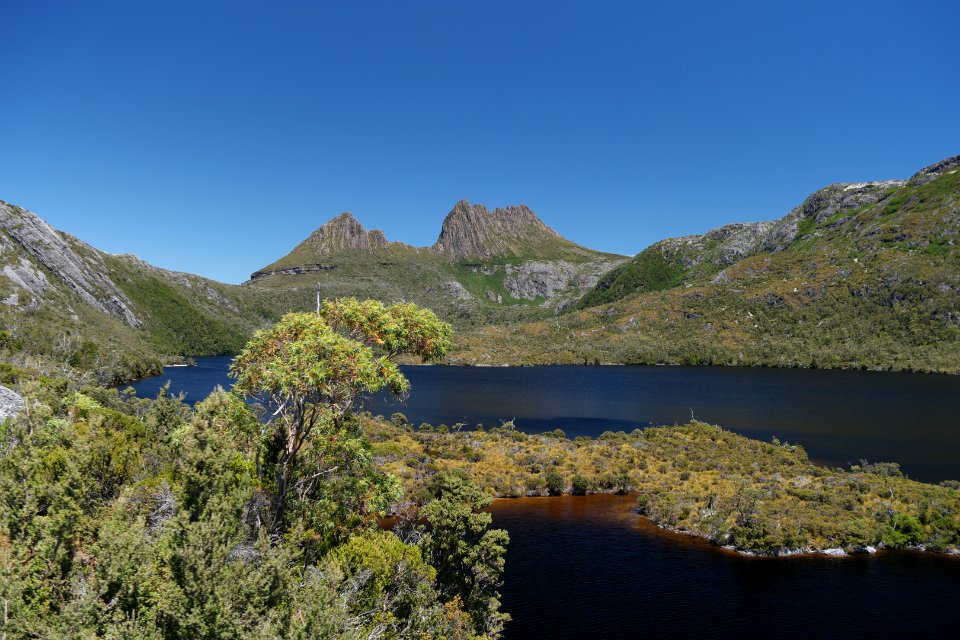 Dove Lake Circuit Walking Track, Cradle Mountain - Lake St Clair National Park 11