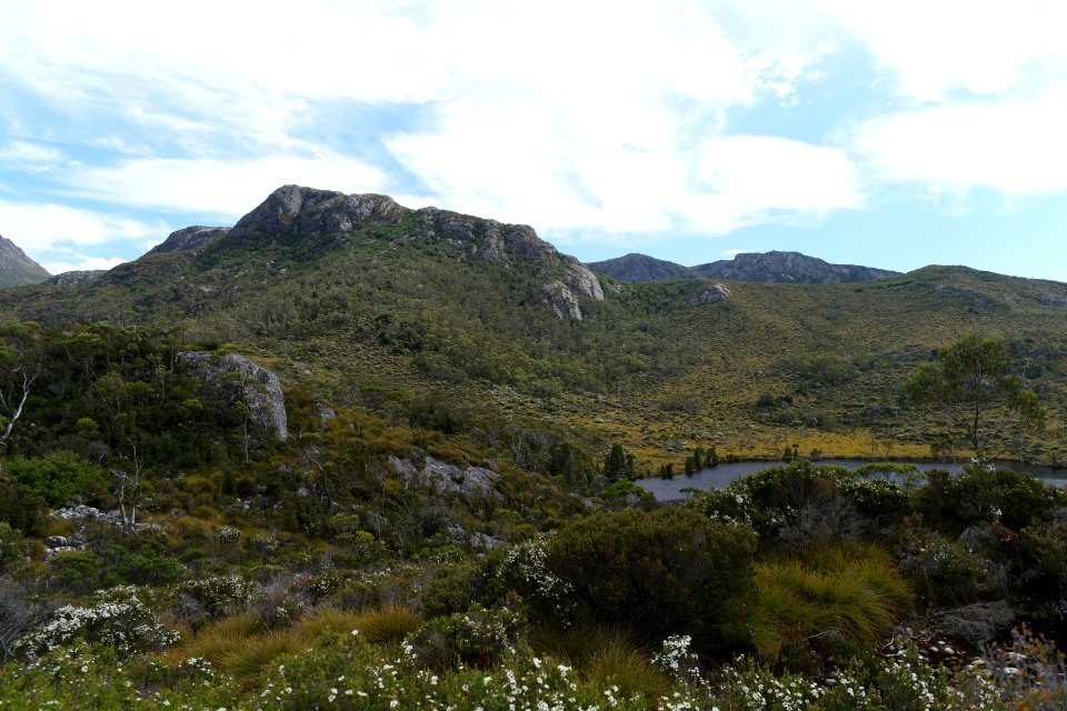 Dove Lake Circuit Walking Track, Cradle Mountain - Lake St Clair National Park 88