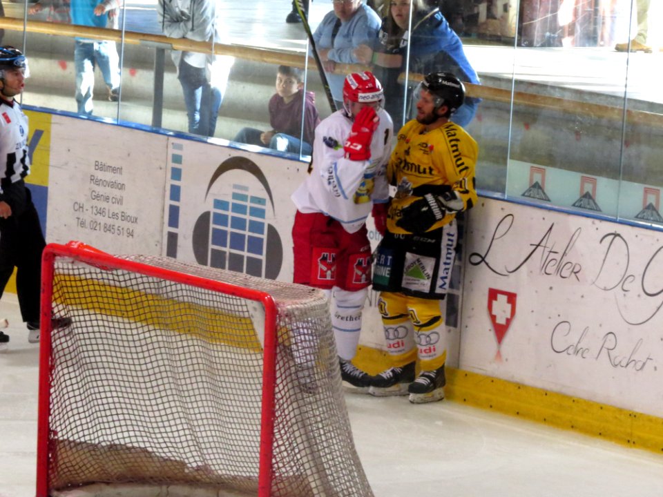 Dragons de Rouen - Tigers de Langnau, 8 août 2017 - 42