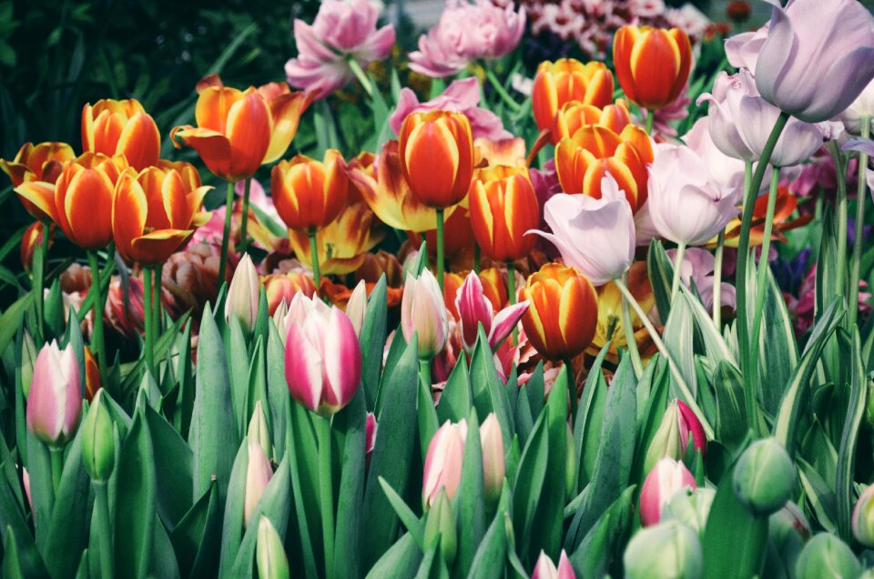 Easter nature sheet