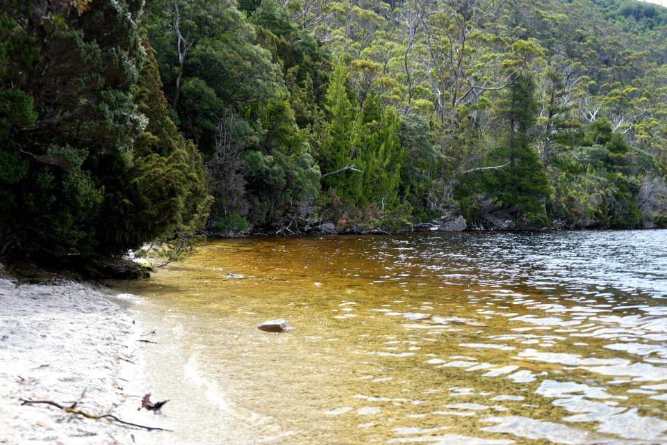 Dove Lake Circuit Walking Track, Cradle Mountain - Lake St Clair National Park 85