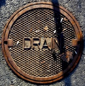 Drain India - Arlington, MA - 20201227 105942 photo