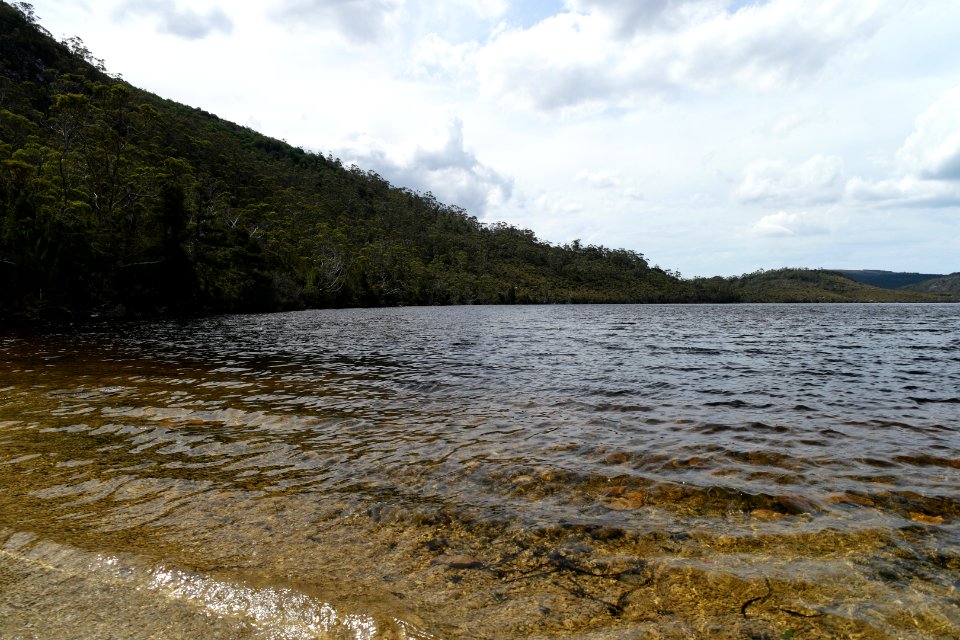 Dove Lake Circuit Walking Track, Cradle Mountain - Lake St Clair National Park 86