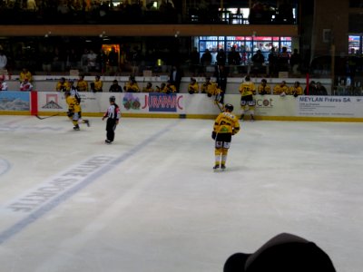 Dragons de Rouen - Tigers de Langnau, 8 août 2017 - 70