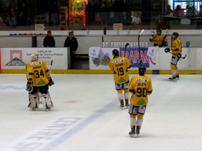 Dragons de Rouen - Tigers de Langnau, 8 août 2017 - 03