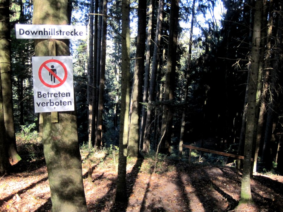 Downhill Strecke am Giersberg