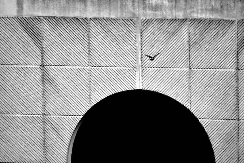 Dove Wall (221304457)