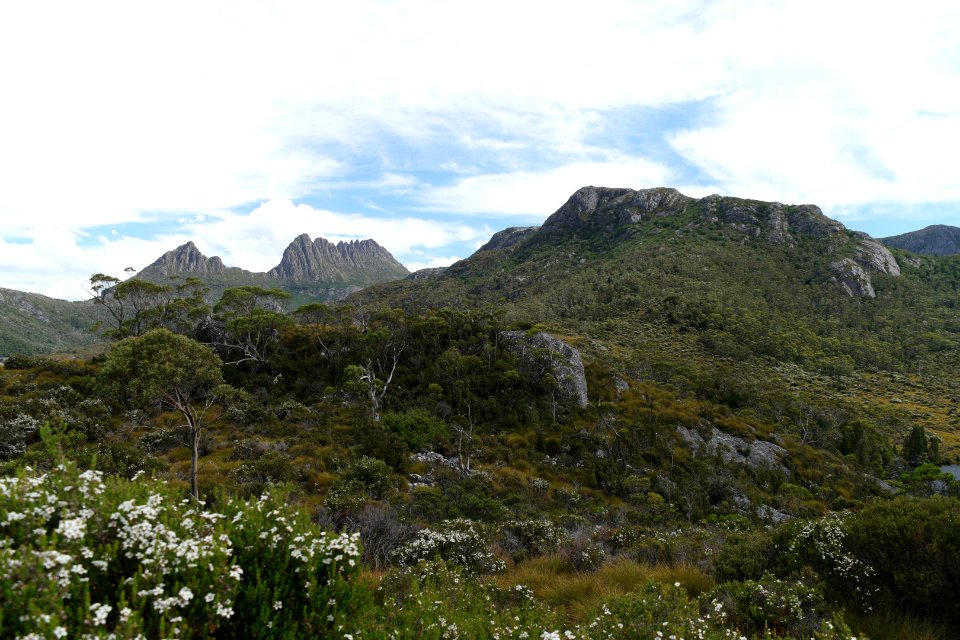 Dove Lake Circuit Walking Track, Cradle Mountain - Lake St Clair National Park 89