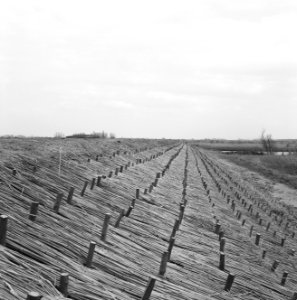 Drainage, taludbekleding, perskades, biesbosch, Bestanddeelnr 168-0345