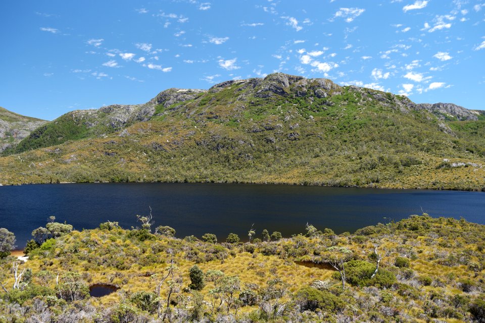 Dove Lake Circuit Walking Track, Cradle Mountain - Lake St Clair National Park 13