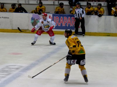 Dragons de Rouen - Tigers de Langnau, 8 août 2017 - 65