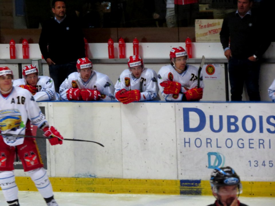 Dragons de Rouen - Tigers de Langnau, 8 août 2017 - 57