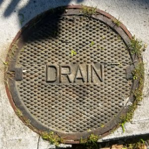 Drain - Arlington, MA - 1