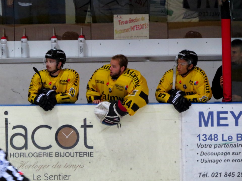 Dragons de Rouen - Tigers de Langnau, 8 août 2017 - 71