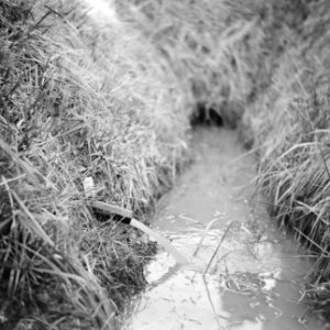 Drainage, slangen, plastic, Tweede Wereldoorlog, Bath-Polder, Bestanddeelnr 160-0342