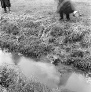 Drainage, reinigingen, reeksen, Bestanddeelnr 160-0401