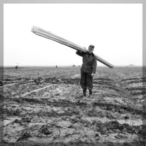 Drainage, arbeiders, buizen, Bestanddeelnr 160-0456