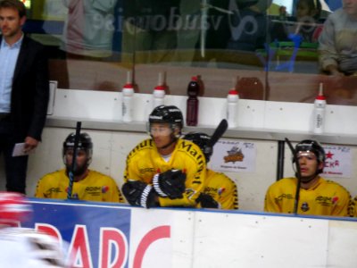 Dragons de Rouen - Tigers de Langnau, 8 août 2017 - 15