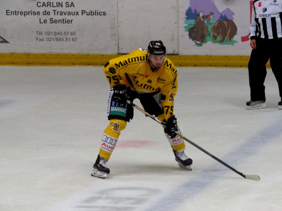 Dragons de Rouen - Tigers de Langnau, 8 août 2017 - 33