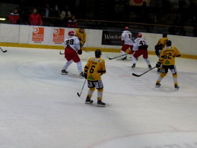 Dragons de Rouen - Tigers de Langnau, 8 août 2017 - 79