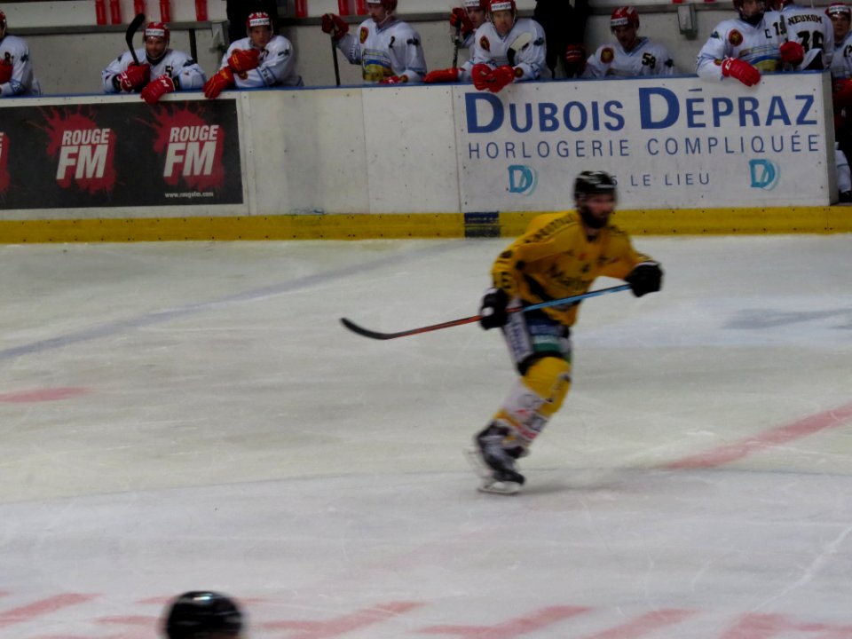 Dragons de Rouen - Tigers de Langnau, 8 août 2017 - 69