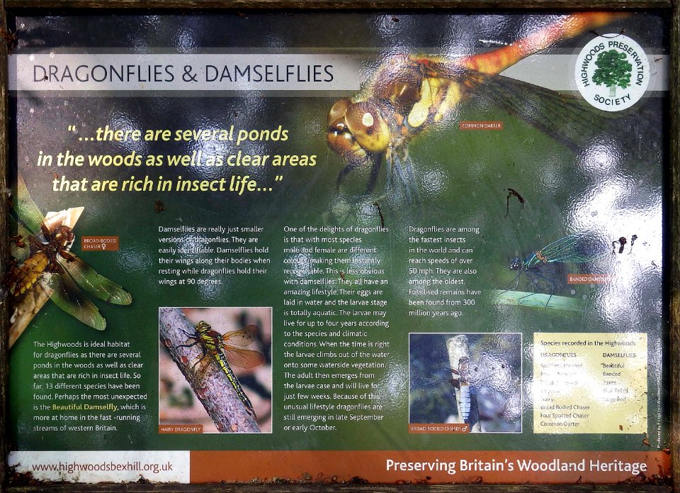 Dragonflies & Damselflies Information Board, Highwoods, Bexhill-on-Sea