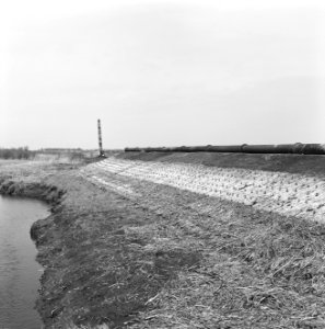 Drainage, taludbekleding, biesbosch, Bestanddeelnr 168-0339